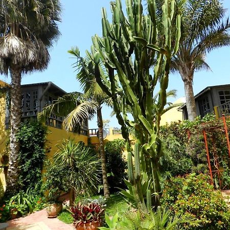 Bed and Breakfast Dar Beldi Oualidia Exteriér fotografie