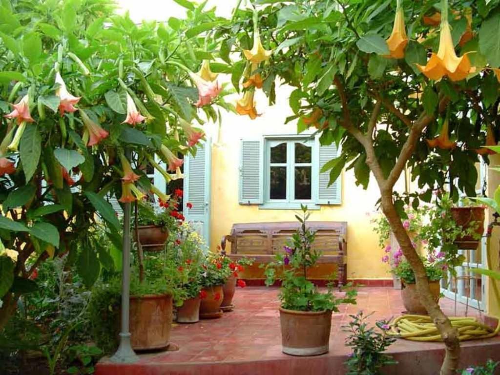 Bed and Breakfast Dar Beldi Oualidia Exteriér fotografie