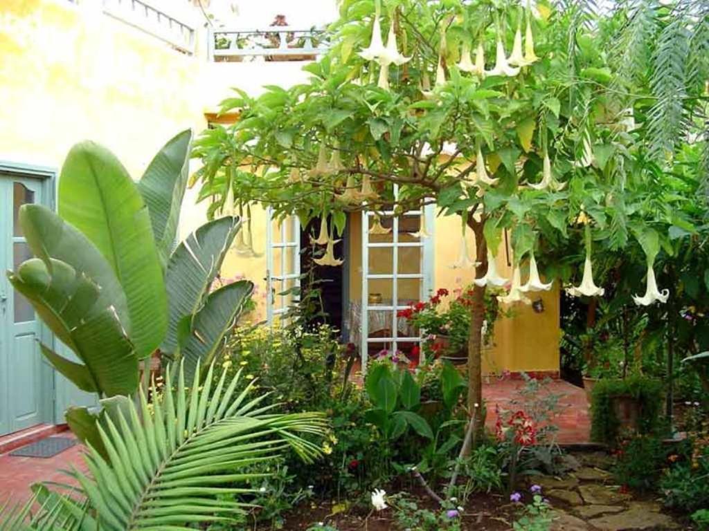 Bed and Breakfast Dar Beldi Oualidia Exteriér fotografie